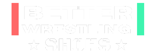 Better Wrestling Shoes