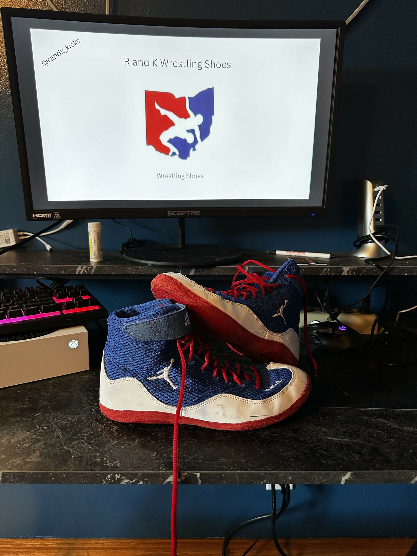 8.5 rwb jordan inflicts